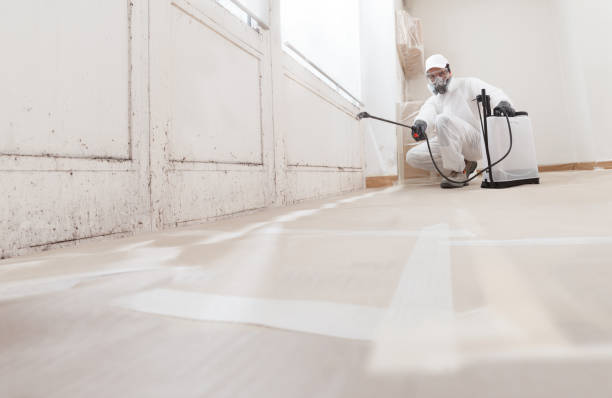 24/7 Emergency Bathroom Mold Removal experts in Danville, PA