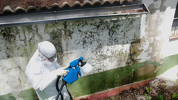Top rated local Bathroom Mold Removal specialists in Danville, PA